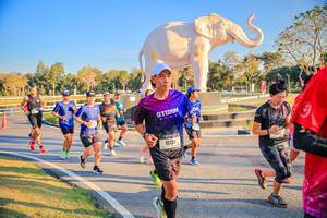 BIB: 
                            <button type="button" onclick="openModal(26186512)" class="btn btn-primary btn-sm float-right btn-popup" data-toggle="modal" data-target=".modal-high-quality">
                        <i class="fas fa-shopping-cart"></i> Add to Cart
                    </button>
                                            <button type="button" onclick="isThisMe(26186512, true)" class="btn btn-success btn-sm float-right btn-popup btn-isme hidden" data-toggle="tooltip" data-placement="bottom" title="นี่คือรูปของคุณใช่ไหม คลิกที่นี่เพื่อเอาเข้าอัลบั้ม">
                        <i class="fas fa-plus"></i> Add to album
                    </button>
                    <button type="button" onclick="isThisMe(26186512, false)" class="btn btn-warning btn-sm float-right btn-popup btn-isnotme hidden">
                        <i class="fas fa-ban"></i> Remove from album
                    </button>