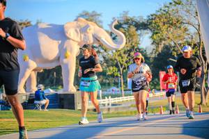 BIB: 
                            <button type="button" onclick="openModal(26183751)" class="btn btn-primary btn-sm float-right btn-popup" data-toggle="modal" data-target=".modal-high-quality">
                        <i class="fas fa-shopping-cart"></i> Add to Cart
                    </button>
                                            <button type="button" onclick="isThisMe(26183751, true)" class="btn btn-success btn-sm float-right btn-popup btn-isme hidden" data-toggle="tooltip" data-placement="bottom" title="นี่คือรูปของคุณใช่ไหม คลิกที่นี่เพื่อเอาเข้าอัลบั้ม">
                        <i class="fas fa-plus"></i> Add to album
                    </button>
                    <button type="button" onclick="isThisMe(26183751, false)" class="btn btn-warning btn-sm float-right btn-popup btn-isnotme hidden">
                        <i class="fas fa-ban"></i> Remove from album
                    </button>