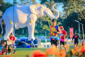 BIB: 
                            <button type="button" onclick="openModal(26183988)" class="btn btn-primary btn-sm float-right btn-popup" data-toggle="modal" data-target=".modal-high-quality">
                        <i class="fas fa-shopping-cart"></i> Add to Cart
                    </button>
                                            <button type="button" onclick="isThisMe(26183988, true)" class="btn btn-success btn-sm float-right btn-popup btn-isme hidden" data-toggle="tooltip" data-placement="bottom" title="นี่คือรูปของคุณใช่ไหม คลิกที่นี่เพื่อเอาเข้าอัลบั้ม">
                        <i class="fas fa-plus"></i> Add to album
                    </button>
                    <button type="button" onclick="isThisMe(26183988, false)" class="btn btn-warning btn-sm float-right btn-popup btn-isnotme hidden">
                        <i class="fas fa-ban"></i> Remove from album
                    </button>