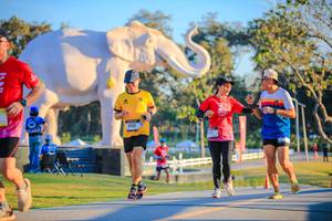 BIB: 
                            <button type="button" onclick="openModal(26183676)" class="btn btn-primary btn-sm float-right btn-popup" data-toggle="modal" data-target=".modal-high-quality">
                        <i class="fas fa-shopping-cart"></i> Add to Cart
                    </button>
                                            <button type="button" onclick="isThisMe(26183676, true)" class="btn btn-success btn-sm float-right btn-popup btn-isme hidden" data-toggle="tooltip" data-placement="bottom" title="นี่คือรูปของคุณใช่ไหม คลิกที่นี่เพื่อเอาเข้าอัลบั้ม">
                        <i class="fas fa-plus"></i> Add to album
                    </button>
                    <button type="button" onclick="isThisMe(26183676, false)" class="btn btn-warning btn-sm float-right btn-popup btn-isnotme hidden">
                        <i class="fas fa-ban"></i> Remove from album
                    </button>