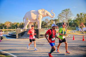 BIB: 
                            <button type="button" onclick="openModal(26186620)" class="btn btn-primary btn-sm float-right btn-popup" data-toggle="modal" data-target=".modal-high-quality">
                        <i class="fas fa-shopping-cart"></i> Add to Cart
                    </button>
                                            <button type="button" onclick="isThisMe(26186620, true)" class="btn btn-success btn-sm float-right btn-popup btn-isme hidden" data-toggle="tooltip" data-placement="bottom" title="นี่คือรูปของคุณใช่ไหม คลิกที่นี่เพื่อเอาเข้าอัลบั้ม">
                        <i class="fas fa-plus"></i> Add to album
                    </button>
                    <button type="button" onclick="isThisMe(26186620, false)" class="btn btn-warning btn-sm float-right btn-popup btn-isnotme hidden">
                        <i class="fas fa-ban"></i> Remove from album
                    </button>