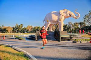 BIB: 
                            <button type="button" onclick="openModal(26186393)" class="btn btn-primary btn-sm float-right btn-popup" data-toggle="modal" data-target=".modal-high-quality">
                        <i class="fas fa-shopping-cart"></i> Add to Cart
                    </button>
                                            <button type="button" onclick="isThisMe(26186393, true)" class="btn btn-success btn-sm float-right btn-popup btn-isme hidden" data-toggle="tooltip" data-placement="bottom" title="นี่คือรูปของคุณใช่ไหม คลิกที่นี่เพื่อเอาเข้าอัลบั้ม">
                        <i class="fas fa-plus"></i> Add to album
                    </button>
                    <button type="button" onclick="isThisMe(26186393, false)" class="btn btn-warning btn-sm float-right btn-popup btn-isnotme hidden">
                        <i class="fas fa-ban"></i> Remove from album
                    </button>