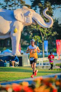 BIB: 
                            <button type="button" onclick="openModal(26183822)" class="btn btn-primary btn-sm float-right btn-popup" data-toggle="modal" data-target=".modal-high-quality">
                        <i class="fas fa-shopping-cart"></i> Add to Cart
                    </button>
                                            <button type="button" onclick="isThisMe(26183822, true)" class="btn btn-success btn-sm float-right btn-popup btn-isme hidden" data-toggle="tooltip" data-placement="bottom" title="นี่คือรูปของคุณใช่ไหม คลิกที่นี่เพื่อเอาเข้าอัลบั้ม">
                        <i class="fas fa-plus"></i> Add to album
                    </button>
                    <button type="button" onclick="isThisMe(26183822, false)" class="btn btn-warning btn-sm float-right btn-popup btn-isnotme hidden">
                        <i class="fas fa-ban"></i> Remove from album
                    </button>