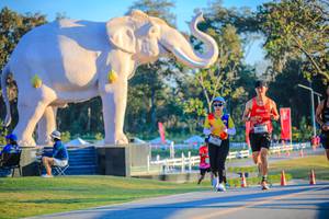 BIB: 
                            <button type="button" onclick="openModal(26183781)" class="btn btn-primary btn-sm float-right btn-popup" data-toggle="modal" data-target=".modal-high-quality">
                        <i class="fas fa-shopping-cart"></i> Add to Cart
                    </button>
                                            <button type="button" onclick="isThisMe(26183781, true)" class="btn btn-success btn-sm float-right btn-popup btn-isme hidden" data-toggle="tooltip" data-placement="bottom" title="นี่คือรูปของคุณใช่ไหม คลิกที่นี่เพื่อเอาเข้าอัลบั้ม">
                        <i class="fas fa-plus"></i> Add to album
                    </button>
                    <button type="button" onclick="isThisMe(26183781, false)" class="btn btn-warning btn-sm float-right btn-popup btn-isnotme hidden">
                        <i class="fas fa-ban"></i> Remove from album
                    </button>