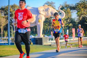 BIB: 
                            <button type="button" onclick="openModal(26183590)" class="btn btn-primary btn-sm float-right btn-popup" data-toggle="modal" data-target=".modal-high-quality">
                        <i class="fas fa-shopping-cart"></i> Add to Cart
                    </button>
                                            <button type="button" onclick="isThisMe(26183590, true)" class="btn btn-success btn-sm float-right btn-popup btn-isme hidden" data-toggle="tooltip" data-placement="bottom" title="นี่คือรูปของคุณใช่ไหม คลิกที่นี่เพื่อเอาเข้าอัลบั้ม">
                        <i class="fas fa-plus"></i> Add to album
                    </button>
                    <button type="button" onclick="isThisMe(26183590, false)" class="btn btn-warning btn-sm float-right btn-popup btn-isnotme hidden">
                        <i class="fas fa-ban"></i> Remove from album
                    </button>