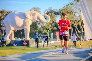 BIB: 
                            <button type="button" onclick="openModal(26183736)" class="btn btn-primary btn-sm float-right btn-popup" data-toggle="modal" data-target=".modal-high-quality">
                        <i class="fas fa-shopping-cart"></i> Add to Cart
                    </button>
                                            <button type="button" onclick="isThisMe(26183736, true)" class="btn btn-success btn-sm float-right btn-popup btn-isme hidden" data-toggle="tooltip" data-placement="bottom" title="นี่คือรูปของคุณใช่ไหม คลิกที่นี่เพื่อเอาเข้าอัลบั้ม">
                        <i class="fas fa-plus"></i> Add to album
                    </button>
                    <button type="button" onclick="isThisMe(26183736, false)" class="btn btn-warning btn-sm float-right btn-popup btn-isnotme hidden">
                        <i class="fas fa-ban"></i> Remove from album
                    </button>