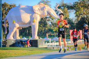 BIB: 
                            <button type="button" onclick="openModal(26183555)" class="btn btn-primary btn-sm float-right btn-popup" data-toggle="modal" data-target=".modal-high-quality">
                        <i class="fas fa-shopping-cart"></i> Add to Cart
                    </button>
                                            <button type="button" onclick="isThisMe(26183555, true)" class="btn btn-success btn-sm float-right btn-popup btn-isme hidden" data-toggle="tooltip" data-placement="bottom" title="นี่คือรูปของคุณใช่ไหม คลิกที่นี่เพื่อเอาเข้าอัลบั้ม">
                        <i class="fas fa-plus"></i> Add to album
                    </button>
                    <button type="button" onclick="isThisMe(26183555, false)" class="btn btn-warning btn-sm float-right btn-popup btn-isnotme hidden">
                        <i class="fas fa-ban"></i> Remove from album
                    </button>