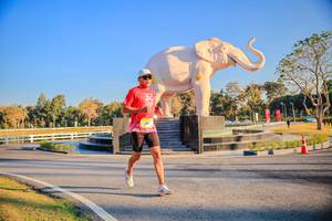 BIB: 
                            <button type="button" onclick="openModal(26186490)" class="btn btn-primary btn-sm float-right btn-popup" data-toggle="modal" data-target=".modal-high-quality">
                        <i class="fas fa-shopping-cart"></i> Add to Cart
                    </button>
                                            <button type="button" onclick="isThisMe(26186490, true)" class="btn btn-success btn-sm float-right btn-popup btn-isme hidden" data-toggle="tooltip" data-placement="bottom" title="นี่คือรูปของคุณใช่ไหม คลิกที่นี่เพื่อเอาเข้าอัลบั้ม">
                        <i class="fas fa-plus"></i> Add to album
                    </button>
                    <button type="button" onclick="isThisMe(26186490, false)" class="btn btn-warning btn-sm float-right btn-popup btn-isnotme hidden">
                        <i class="fas fa-ban"></i> Remove from album
                    </button>