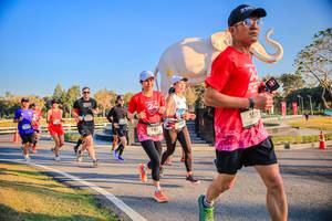 BIB: 
                            <button type="button" onclick="openModal(26186496)" class="btn btn-primary btn-sm float-right btn-popup" data-toggle="modal" data-target=".modal-high-quality">
                        <i class="fas fa-shopping-cart"></i> Add to Cart
                    </button>
                                            <button type="button" onclick="isThisMe(26186496, true)" class="btn btn-success btn-sm float-right btn-popup btn-isme hidden" data-toggle="tooltip" data-placement="bottom" title="นี่คือรูปของคุณใช่ไหม คลิกที่นี่เพื่อเอาเข้าอัลบั้ม">
                        <i class="fas fa-plus"></i> Add to album
                    </button>
                    <button type="button" onclick="isThisMe(26186496, false)" class="btn btn-warning btn-sm float-right btn-popup btn-isnotme hidden">
                        <i class="fas fa-ban"></i> Remove from album
                    </button>