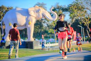 BIB: 
                            <button type="button" onclick="openModal(26183705)" class="btn btn-primary btn-sm float-right btn-popup" data-toggle="modal" data-target=".modal-high-quality">
                        <i class="fas fa-shopping-cart"></i> Add to Cart
                    </button>
                                            <button type="button" onclick="isThisMe(26183705, true)" class="btn btn-success btn-sm float-right btn-popup btn-isme hidden" data-toggle="tooltip" data-placement="bottom" title="นี่คือรูปของคุณใช่ไหม คลิกที่นี่เพื่อเอาเข้าอัลบั้ม">
                        <i class="fas fa-plus"></i> Add to album
                    </button>
                    <button type="button" onclick="isThisMe(26183705, false)" class="btn btn-warning btn-sm float-right btn-popup btn-isnotme hidden">
                        <i class="fas fa-ban"></i> Remove from album
                    </button>