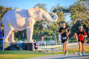 BIB: 
                            <button type="button" onclick="openModal(26183484)" class="btn btn-primary btn-sm float-right btn-popup" data-toggle="modal" data-target=".modal-high-quality">
                        <i class="fas fa-shopping-cart"></i> Add to Cart
                    </button>
                                            <button type="button" onclick="isThisMe(26183484, true)" class="btn btn-success btn-sm float-right btn-popup btn-isme hidden" data-toggle="tooltip" data-placement="bottom" title="นี่คือรูปของคุณใช่ไหม คลิกที่นี่เพื่อเอาเข้าอัลบั้ม">
                        <i class="fas fa-plus"></i> Add to album
                    </button>
                    <button type="button" onclick="isThisMe(26183484, false)" class="btn btn-warning btn-sm float-right btn-popup btn-isnotme hidden">
                        <i class="fas fa-ban"></i> Remove from album
                    </button>