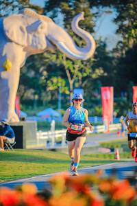 BIB: 
                            <button type="button" onclick="openModal(26183816)" class="btn btn-primary btn-sm float-right btn-popup" data-toggle="modal" data-target=".modal-high-quality">
                        <i class="fas fa-shopping-cart"></i> Add to Cart
                    </button>
                                            <button type="button" onclick="isThisMe(26183816, true)" class="btn btn-success btn-sm float-right btn-popup btn-isme hidden" data-toggle="tooltip" data-placement="bottom" title="นี่คือรูปของคุณใช่ไหม คลิกที่นี่เพื่อเอาเข้าอัลบั้ม">
                        <i class="fas fa-plus"></i> Add to album
                    </button>
                    <button type="button" onclick="isThisMe(26183816, false)" class="btn btn-warning btn-sm float-right btn-popup btn-isnotme hidden">
                        <i class="fas fa-ban"></i> Remove from album
                    </button>