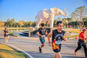 BIB: 
                            <button type="button" onclick="openModal(26186583)" class="btn btn-primary btn-sm float-right btn-popup" data-toggle="modal" data-target=".modal-high-quality">
                        <i class="fas fa-shopping-cart"></i> Add to Cart
                    </button>
                                            <button type="button" onclick="isThisMe(26186583, true)" class="btn btn-success btn-sm float-right btn-popup btn-isme hidden" data-toggle="tooltip" data-placement="bottom" title="นี่คือรูปของคุณใช่ไหม คลิกที่นี่เพื่อเอาเข้าอัลบั้ม">
                        <i class="fas fa-plus"></i> Add to album
                    </button>
                    <button type="button" onclick="isThisMe(26186583, false)" class="btn btn-warning btn-sm float-right btn-popup btn-isnotme hidden">
                        <i class="fas fa-ban"></i> Remove from album
                    </button>