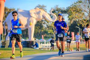 BIB: 
                            <button type="button" onclick="openModal(26183653)" class="btn btn-primary btn-sm float-right btn-popup" data-toggle="modal" data-target=".modal-high-quality">
                        <i class="fas fa-shopping-cart"></i> Add to Cart
                    </button>
                                            <button type="button" onclick="isThisMe(26183653, true)" class="btn btn-success btn-sm float-right btn-popup btn-isme hidden" data-toggle="tooltip" data-placement="bottom" title="นี่คือรูปของคุณใช่ไหม คลิกที่นี่เพื่อเอาเข้าอัลบั้ม">
                        <i class="fas fa-plus"></i> Add to album
                    </button>
                    <button type="button" onclick="isThisMe(26183653, false)" class="btn btn-warning btn-sm float-right btn-popup btn-isnotme hidden">
                        <i class="fas fa-ban"></i> Remove from album
                    </button>