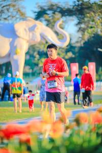 BIB: 
                            <button type="button" onclick="openModal(26183883)" class="btn btn-primary btn-sm float-right btn-popup" data-toggle="modal" data-target=".modal-high-quality">
                        <i class="fas fa-shopping-cart"></i> Add to Cart
                    </button>
                                            <button type="button" onclick="isThisMe(26183883, true)" class="btn btn-success btn-sm float-right btn-popup btn-isme hidden" data-toggle="tooltip" data-placement="bottom" title="นี่คือรูปของคุณใช่ไหม คลิกที่นี่เพื่อเอาเข้าอัลบั้ม">
                        <i class="fas fa-plus"></i> Add to album
                    </button>
                    <button type="button" onclick="isThisMe(26183883, false)" class="btn btn-warning btn-sm float-right btn-popup btn-isnotme hidden">
                        <i class="fas fa-ban"></i> Remove from album
                    </button>