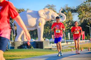 BIB: 
                            <button type="button" onclick="openModal(26183532)" class="btn btn-primary btn-sm float-right btn-popup" data-toggle="modal" data-target=".modal-high-quality">
                        <i class="fas fa-shopping-cart"></i> Add to Cart
                    </button>
                                            <button type="button" onclick="isThisMe(26183532, true)" class="btn btn-success btn-sm float-right btn-popup btn-isme hidden" data-toggle="tooltip" data-placement="bottom" title="นี่คือรูปของคุณใช่ไหม คลิกที่นี่เพื่อเอาเข้าอัลบั้ม">
                        <i class="fas fa-plus"></i> Add to album
                    </button>
                    <button type="button" onclick="isThisMe(26183532, false)" class="btn btn-warning btn-sm float-right btn-popup btn-isnotme hidden">
                        <i class="fas fa-ban"></i> Remove from album
                    </button>