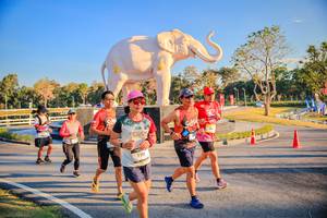 BIB: 
                            <button type="button" onclick="openModal(26186631)" class="btn btn-primary btn-sm float-right btn-popup" data-toggle="modal" data-target=".modal-high-quality">
                        <i class="fas fa-shopping-cart"></i> Add to Cart
                    </button>
                                            <button type="button" onclick="isThisMe(26186631, true)" class="btn btn-success btn-sm float-right btn-popup btn-isme hidden" data-toggle="tooltip" data-placement="bottom" title="นี่คือรูปของคุณใช่ไหม คลิกที่นี่เพื่อเอาเข้าอัลบั้ม">
                        <i class="fas fa-plus"></i> Add to album
                    </button>
                    <button type="button" onclick="isThisMe(26186631, false)" class="btn btn-warning btn-sm float-right btn-popup btn-isnotme hidden">
                        <i class="fas fa-ban"></i> Remove from album
                    </button>