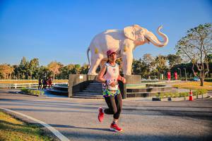 BIB: 
                            <button type="button" onclick="openModal(26186432)" class="btn btn-primary btn-sm float-right btn-popup" data-toggle="modal" data-target=".modal-high-quality">
                        <i class="fas fa-shopping-cart"></i> Add to Cart
                    </button>
                                            <button type="button" onclick="isThisMe(26186432, true)" class="btn btn-success btn-sm float-right btn-popup btn-isme hidden" data-toggle="tooltip" data-placement="bottom" title="นี่คือรูปของคุณใช่ไหม คลิกที่นี่เพื่อเอาเข้าอัลบั้ม">
                        <i class="fas fa-plus"></i> Add to album
                    </button>
                    <button type="button" onclick="isThisMe(26186432, false)" class="btn btn-warning btn-sm float-right btn-popup btn-isnotme hidden">
                        <i class="fas fa-ban"></i> Remove from album
                    </button>