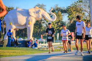 BIB: 
                            <button type="button" onclick="openModal(26183657)" class="btn btn-primary btn-sm float-right btn-popup" data-toggle="modal" data-target=".modal-high-quality">
                        <i class="fas fa-shopping-cart"></i> Add to Cart
                    </button>
                                            <button type="button" onclick="isThisMe(26183657, true)" class="btn btn-success btn-sm float-right btn-popup btn-isme hidden" data-toggle="tooltip" data-placement="bottom" title="นี่คือรูปของคุณใช่ไหม คลิกที่นี่เพื่อเอาเข้าอัลบั้ม">
                        <i class="fas fa-plus"></i> Add to album
                    </button>
                    <button type="button" onclick="isThisMe(26183657, false)" class="btn btn-warning btn-sm float-right btn-popup btn-isnotme hidden">
                        <i class="fas fa-ban"></i> Remove from album
                    </button>