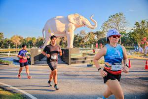 BIB: 
                            <button type="button" onclick="openModal(26186610)" class="btn btn-primary btn-sm float-right btn-popup" data-toggle="modal" data-target=".modal-high-quality">
                        <i class="fas fa-shopping-cart"></i> Add to Cart
                    </button>
                                            <button type="button" onclick="isThisMe(26186610, true)" class="btn btn-success btn-sm float-right btn-popup btn-isme hidden" data-toggle="tooltip" data-placement="bottom" title="นี่คือรูปของคุณใช่ไหม คลิกที่นี่เพื่อเอาเข้าอัลบั้ม">
                        <i class="fas fa-plus"></i> Add to album
                    </button>
                    <button type="button" onclick="isThisMe(26186610, false)" class="btn btn-warning btn-sm float-right btn-popup btn-isnotme hidden">
                        <i class="fas fa-ban"></i> Remove from album
                    </button>