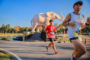 BIB: 
                            <button type="button" onclick="openModal(26186428)" class="btn btn-primary btn-sm float-right btn-popup" data-toggle="modal" data-target=".modal-high-quality">
                        <i class="fas fa-shopping-cart"></i> Add to Cart
                    </button>
                                            <button type="button" onclick="isThisMe(26186428, true)" class="btn btn-success btn-sm float-right btn-popup btn-isme hidden" data-toggle="tooltip" data-placement="bottom" title="นี่คือรูปของคุณใช่ไหม คลิกที่นี่เพื่อเอาเข้าอัลบั้ม">
                        <i class="fas fa-plus"></i> Add to album
                    </button>
                    <button type="button" onclick="isThisMe(26186428, false)" class="btn btn-warning btn-sm float-right btn-popup btn-isnotme hidden">
                        <i class="fas fa-ban"></i> Remove from album
                    </button>