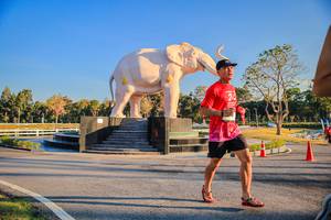 BIB: 
                            <button type="button" onclick="openModal(26186430)" class="btn btn-primary btn-sm float-right btn-popup" data-toggle="modal" data-target=".modal-high-quality">
                        <i class="fas fa-shopping-cart"></i> Add to Cart
                    </button>
                                            <button type="button" onclick="isThisMe(26186430, true)" class="btn btn-success btn-sm float-right btn-popup btn-isme hidden" data-toggle="tooltip" data-placement="bottom" title="นี่คือรูปของคุณใช่ไหม คลิกที่นี่เพื่อเอาเข้าอัลบั้ม">
                        <i class="fas fa-plus"></i> Add to album
                    </button>
                    <button type="button" onclick="isThisMe(26186430, false)" class="btn btn-warning btn-sm float-right btn-popup btn-isnotme hidden">
                        <i class="fas fa-ban"></i> Remove from album
                    </button>