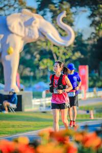 BIB: 
                            <button type="button" onclick="openModal(26183811)" class="btn btn-primary btn-sm float-right btn-popup" data-toggle="modal" data-target=".modal-high-quality">
                        <i class="fas fa-shopping-cart"></i> Add to Cart
                    </button>
                                            <button type="button" onclick="isThisMe(26183811, true)" class="btn btn-success btn-sm float-right btn-popup btn-isme hidden" data-toggle="tooltip" data-placement="bottom" title="นี่คือรูปของคุณใช่ไหม คลิกที่นี่เพื่อเอาเข้าอัลบั้ม">
                        <i class="fas fa-plus"></i> Add to album
                    </button>
                    <button type="button" onclick="isThisMe(26183811, false)" class="btn btn-warning btn-sm float-right btn-popup btn-isnotme hidden">
                        <i class="fas fa-ban"></i> Remove from album
                    </button>