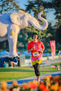 BIB: 
                            <button type="button" onclick="openModal(26183829)" class="btn btn-primary btn-sm float-right btn-popup" data-toggle="modal" data-target=".modal-high-quality">
                        <i class="fas fa-shopping-cart"></i> Add to Cart
                    </button>
                                            <button type="button" onclick="isThisMe(26183829, true)" class="btn btn-success btn-sm float-right btn-popup btn-isme hidden" data-toggle="tooltip" data-placement="bottom" title="นี่คือรูปของคุณใช่ไหม คลิกที่นี่เพื่อเอาเข้าอัลบั้ม">
                        <i class="fas fa-plus"></i> Add to album
                    </button>
                    <button type="button" onclick="isThisMe(26183829, false)" class="btn btn-warning btn-sm float-right btn-popup btn-isnotme hidden">
                        <i class="fas fa-ban"></i> Remove from album
                    </button>