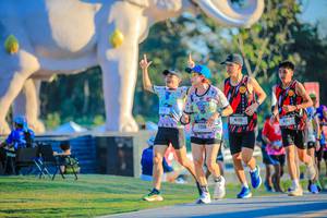 BIB: 
                            <button type="button" onclick="openModal(26183635)" class="btn btn-primary btn-sm float-right btn-popup" data-toggle="modal" data-target=".modal-high-quality">
                        <i class="fas fa-shopping-cart"></i> Add to Cart
                    </button>
                                            <button type="button" onclick="isThisMe(26183635, true)" class="btn btn-success btn-sm float-right btn-popup btn-isme hidden" data-toggle="tooltip" data-placement="bottom" title="นี่คือรูปของคุณใช่ไหม คลิกที่นี่เพื่อเอาเข้าอัลบั้ม">
                        <i class="fas fa-plus"></i> Add to album
                    </button>
                    <button type="button" onclick="isThisMe(26183635, false)" class="btn btn-warning btn-sm float-right btn-popup btn-isnotme hidden">
                        <i class="fas fa-ban"></i> Remove from album
                    </button>