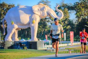 BIB: 
                            <button type="button" onclick="openModal(26183551)" class="btn btn-primary btn-sm float-right btn-popup" data-toggle="modal" data-target=".modal-high-quality">
                        <i class="fas fa-shopping-cart"></i> Add to Cart
                    </button>
                                            <button type="button" onclick="isThisMe(26183551, true)" class="btn btn-success btn-sm float-right btn-popup btn-isme hidden" data-toggle="tooltip" data-placement="bottom" title="นี่คือรูปของคุณใช่ไหม คลิกที่นี่เพื่อเอาเข้าอัลบั้ม">
                        <i class="fas fa-plus"></i> Add to album
                    </button>
                    <button type="button" onclick="isThisMe(26183551, false)" class="btn btn-warning btn-sm float-right btn-popup btn-isnotme hidden">
                        <i class="fas fa-ban"></i> Remove from album
                    </button>