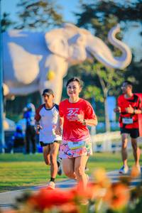 BIB: 
                            <button type="button" onclick="openModal(26183894)" class="btn btn-primary btn-sm float-right btn-popup" data-toggle="modal" data-target=".modal-high-quality">
                        <i class="fas fa-shopping-cart"></i> Add to Cart
                    </button>
                                            <button type="button" onclick="isThisMe(26183894, true)" class="btn btn-success btn-sm float-right btn-popup btn-isme hidden" data-toggle="tooltip" data-placement="bottom" title="นี่คือรูปของคุณใช่ไหม คลิกที่นี่เพื่อเอาเข้าอัลบั้ม">
                        <i class="fas fa-plus"></i> Add to album
                    </button>
                    <button type="button" onclick="isThisMe(26183894, false)" class="btn btn-warning btn-sm float-right btn-popup btn-isnotme hidden">
                        <i class="fas fa-ban"></i> Remove from album
                    </button>