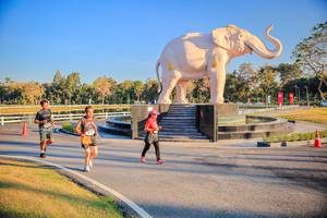 BIB: 
                            <button type="button" onclick="openModal(26186582)" class="btn btn-primary btn-sm float-right btn-popup" data-toggle="modal" data-target=".modal-high-quality">
                        <i class="fas fa-shopping-cart"></i> Add to Cart
                    </button>
                                            <button type="button" onclick="isThisMe(26186582, true)" class="btn btn-success btn-sm float-right btn-popup btn-isme hidden" data-toggle="tooltip" data-placement="bottom" title="นี่คือรูปของคุณใช่ไหม คลิกที่นี่เพื่อเอาเข้าอัลบั้ม">
                        <i class="fas fa-plus"></i> Add to album
                    </button>
                    <button type="button" onclick="isThisMe(26186582, false)" class="btn btn-warning btn-sm float-right btn-popup btn-isnotme hidden">
                        <i class="fas fa-ban"></i> Remove from album
                    </button>