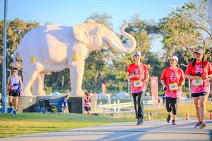 BIB: 
                            <button type="button" onclick="openModal(26183431)" class="btn btn-primary btn-sm float-right btn-popup" data-toggle="modal" data-target=".modal-high-quality">
                        <i class="fas fa-shopping-cart"></i> Add to Cart
                    </button>
                                            <button type="button" onclick="isThisMe(26183431, true)" class="btn btn-success btn-sm float-right btn-popup btn-isme hidden" data-toggle="tooltip" data-placement="bottom" title="นี่คือรูปของคุณใช่ไหม คลิกที่นี่เพื่อเอาเข้าอัลบั้ม">
                        <i class="fas fa-plus"></i> Add to album
                    </button>
                    <button type="button" onclick="isThisMe(26183431, false)" class="btn btn-warning btn-sm float-right btn-popup btn-isnotme hidden">
                        <i class="fas fa-ban"></i> Remove from album
                    </button>