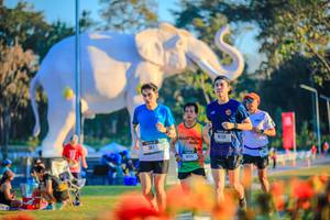 BIB: 
                            <button type="button" onclick="openModal(26183979)" class="btn btn-primary btn-sm float-right btn-popup" data-toggle="modal" data-target=".modal-high-quality">
                        <i class="fas fa-shopping-cart"></i> Add to Cart
                    </button>
                                            <button type="button" onclick="isThisMe(26183979, true)" class="btn btn-success btn-sm float-right btn-popup btn-isme hidden" data-toggle="tooltip" data-placement="bottom" title="นี่คือรูปของคุณใช่ไหม คลิกที่นี่เพื่อเอาเข้าอัลบั้ม">
                        <i class="fas fa-plus"></i> Add to album
                    </button>
                    <button type="button" onclick="isThisMe(26183979, false)" class="btn btn-warning btn-sm float-right btn-popup btn-isnotme hidden">
                        <i class="fas fa-ban"></i> Remove from album
                    </button>