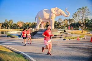 BIB: 
                            <button type="button" onclick="openModal(26186671)" class="btn btn-primary btn-sm float-right btn-popup" data-toggle="modal" data-target=".modal-high-quality">
                        <i class="fas fa-shopping-cart"></i> Add to Cart
                    </button>
                                            <button type="button" onclick="isThisMe(26186671, true)" class="btn btn-success btn-sm float-right btn-popup btn-isme hidden" data-toggle="tooltip" data-placement="bottom" title="นี่คือรูปของคุณใช่ไหม คลิกที่นี่เพื่อเอาเข้าอัลบั้ม">
                        <i class="fas fa-plus"></i> Add to album
                    </button>
                    <button type="button" onclick="isThisMe(26186671, false)" class="btn btn-warning btn-sm float-right btn-popup btn-isnotme hidden">
                        <i class="fas fa-ban"></i> Remove from album
                    </button>