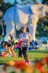 BIB: 
                            <button type="button" onclick="openModal(26183936)" class="btn btn-primary btn-sm float-right btn-popup" data-toggle="modal" data-target=".modal-high-quality">
                        <i class="fas fa-shopping-cart"></i> Add to Cart
                    </button>
                                            <button type="button" onclick="isThisMe(26183936, true)" class="btn btn-success btn-sm float-right btn-popup btn-isme hidden" data-toggle="tooltip" data-placement="bottom" title="นี่คือรูปของคุณใช่ไหม คลิกที่นี่เพื่อเอาเข้าอัลบั้ม">
                        <i class="fas fa-plus"></i> Add to album
                    </button>
                    <button type="button" onclick="isThisMe(26183936, false)" class="btn btn-warning btn-sm float-right btn-popup btn-isnotme hidden">
                        <i class="fas fa-ban"></i> Remove from album
                    </button>