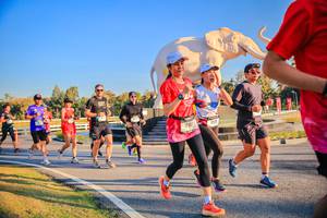 BIB: 
                            <button type="button" onclick="openModal(26186497)" class="btn btn-primary btn-sm float-right btn-popup" data-toggle="modal" data-target=".modal-high-quality">
                        <i class="fas fa-shopping-cart"></i> Add to Cart
                    </button>
                                            <button type="button" onclick="isThisMe(26186497, true)" class="btn btn-success btn-sm float-right btn-popup btn-isme hidden" data-toggle="tooltip" data-placement="bottom" title="นี่คือรูปของคุณใช่ไหม คลิกที่นี่เพื่อเอาเข้าอัลบั้ม">
                        <i class="fas fa-plus"></i> Add to album
                    </button>
                    <button type="button" onclick="isThisMe(26186497, false)" class="btn btn-warning btn-sm float-right btn-popup btn-isnotme hidden">
                        <i class="fas fa-ban"></i> Remove from album
                    </button>