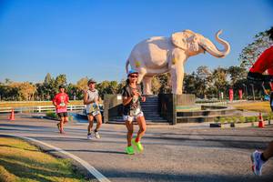 BIB: 
                            <button type="button" onclick="openModal(26186424)" class="btn btn-primary btn-sm float-right btn-popup" data-toggle="modal" data-target=".modal-high-quality">
                        <i class="fas fa-shopping-cart"></i> Add to Cart
                    </button>
                                            <button type="button" onclick="isThisMe(26186424, true)" class="btn btn-success btn-sm float-right btn-popup btn-isme hidden" data-toggle="tooltip" data-placement="bottom" title="นี่คือรูปของคุณใช่ไหม คลิกที่นี่เพื่อเอาเข้าอัลบั้ม">
                        <i class="fas fa-plus"></i> Add to album
                    </button>
                    <button type="button" onclick="isThisMe(26186424, false)" class="btn btn-warning btn-sm float-right btn-popup btn-isnotme hidden">
                        <i class="fas fa-ban"></i> Remove from album
                    </button>