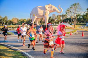 BIB: 
                            <button type="button" onclick="openModal(26186554)" class="btn btn-primary btn-sm float-right btn-popup" data-toggle="modal" data-target=".modal-high-quality">
                        <i class="fas fa-shopping-cart"></i> Add to Cart
                    </button>
                                            <button type="button" onclick="isThisMe(26186554, true)" class="btn btn-success btn-sm float-right btn-popup btn-isme hidden" data-toggle="tooltip" data-placement="bottom" title="นี่คือรูปของคุณใช่ไหม คลิกที่นี่เพื่อเอาเข้าอัลบั้ม">
                        <i class="fas fa-plus"></i> Add to album
                    </button>
                    <button type="button" onclick="isThisMe(26186554, false)" class="btn btn-warning btn-sm float-right btn-popup btn-isnotme hidden">
                        <i class="fas fa-ban"></i> Remove from album
                    </button>