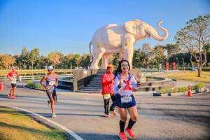 BIB: 
                            <button type="button" onclick="openModal(26186589)" class="btn btn-primary btn-sm float-right btn-popup" data-toggle="modal" data-target=".modal-high-quality">
                        <i class="fas fa-shopping-cart"></i> Add to Cart
                    </button>
                                            <button type="button" onclick="isThisMe(26186589, true)" class="btn btn-success btn-sm float-right btn-popup btn-isme hidden" data-toggle="tooltip" data-placement="bottom" title="นี่คือรูปของคุณใช่ไหม คลิกที่นี่เพื่อเอาเข้าอัลบั้ม">
                        <i class="fas fa-plus"></i> Add to album
                    </button>
                    <button type="button" onclick="isThisMe(26186589, false)" class="btn btn-warning btn-sm float-right btn-popup btn-isnotme hidden">
                        <i class="fas fa-ban"></i> Remove from album
                    </button>