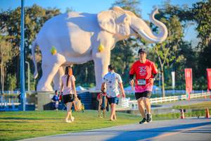 BIB: 
                            <button type="button" onclick="openModal(26183566)" class="btn btn-primary btn-sm float-right btn-popup" data-toggle="modal" data-target=".modal-high-quality">
                        <i class="fas fa-shopping-cart"></i> Add to Cart
                    </button>
                                            <button type="button" onclick="isThisMe(26183566, true)" class="btn btn-success btn-sm float-right btn-popup btn-isme hidden" data-toggle="tooltip" data-placement="bottom" title="นี่คือรูปของคุณใช่ไหม คลิกที่นี่เพื่อเอาเข้าอัลบั้ม">
                        <i class="fas fa-plus"></i> Add to album
                    </button>
                    <button type="button" onclick="isThisMe(26183566, false)" class="btn btn-warning btn-sm float-right btn-popup btn-isnotme hidden">
                        <i class="fas fa-ban"></i> Remove from album
                    </button>