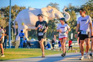 BIB: 
                            <button type="button" onclick="openModal(26183659)" class="btn btn-primary btn-sm float-right btn-popup" data-toggle="modal" data-target=".modal-high-quality">
                        <i class="fas fa-shopping-cart"></i> Add to Cart
                    </button>
                                            <button type="button" onclick="isThisMe(26183659, true)" class="btn btn-success btn-sm float-right btn-popup btn-isme hidden" data-toggle="tooltip" data-placement="bottom" title="นี่คือรูปของคุณใช่ไหม คลิกที่นี่เพื่อเอาเข้าอัลบั้ม">
                        <i class="fas fa-plus"></i> Add to album
                    </button>
                    <button type="button" onclick="isThisMe(26183659, false)" class="btn btn-warning btn-sm float-right btn-popup btn-isnotme hidden">
                        <i class="fas fa-ban"></i> Remove from album
                    </button>