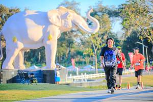 BIB: 
                            <button type="button" onclick="openModal(26183459)" class="btn btn-primary btn-sm float-right btn-popup" data-toggle="modal" data-target=".modal-high-quality">
                        <i class="fas fa-shopping-cart"></i> Add to Cart
                    </button>
                                            <button type="button" onclick="isThisMe(26183459, true)" class="btn btn-success btn-sm float-right btn-popup btn-isme hidden" data-toggle="tooltip" data-placement="bottom" title="นี่คือรูปของคุณใช่ไหม คลิกที่นี่เพื่อเอาเข้าอัลบั้ม">
                        <i class="fas fa-plus"></i> Add to album
                    </button>
                    <button type="button" onclick="isThisMe(26183459, false)" class="btn btn-warning btn-sm float-right btn-popup btn-isnotme hidden">
                        <i class="fas fa-ban"></i> Remove from album
                    </button>