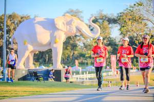 BIB: 
                            <button type="button" onclick="openModal(26183432)" class="btn btn-primary btn-sm float-right btn-popup" data-toggle="modal" data-target=".modal-high-quality">
                        <i class="fas fa-shopping-cart"></i> Add to Cart
                    </button>
                                            <button type="button" onclick="isThisMe(26183432, true)" class="btn btn-success btn-sm float-right btn-popup btn-isme hidden" data-toggle="tooltip" data-placement="bottom" title="นี่คือรูปของคุณใช่ไหม คลิกที่นี่เพื่อเอาเข้าอัลบั้ม">
                        <i class="fas fa-plus"></i> Add to album
                    </button>
                    <button type="button" onclick="isThisMe(26183432, false)" class="btn btn-warning btn-sm float-right btn-popup btn-isnotme hidden">
                        <i class="fas fa-ban"></i> Remove from album
                    </button>