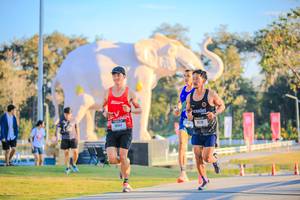 BIB: 
                            <button type="button" onclick="openModal(26183446)" class="btn btn-primary btn-sm float-right btn-popup" data-toggle="modal" data-target=".modal-high-quality">
                        <i class="fas fa-shopping-cart"></i> Add to Cart
                    </button>
                                            <button type="button" onclick="isThisMe(26183446, true)" class="btn btn-success btn-sm float-right btn-popup btn-isme hidden" data-toggle="tooltip" data-placement="bottom" title="นี่คือรูปของคุณใช่ไหม คลิกที่นี่เพื่อเอาเข้าอัลบั้ม">
                        <i class="fas fa-plus"></i> Add to album
                    </button>
                    <button type="button" onclick="isThisMe(26183446, false)" class="btn btn-warning btn-sm float-right btn-popup btn-isnotme hidden">
                        <i class="fas fa-ban"></i> Remove from album
                    </button>