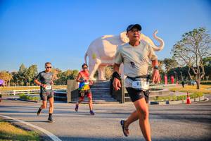 BIB: 
                            <button type="button" onclick="openModal(26186476)" class="btn btn-primary btn-sm float-right btn-popup" data-toggle="modal" data-target=".modal-high-quality">
                        <i class="fas fa-shopping-cart"></i> Add to Cart
                    </button>
                                            <button type="button" onclick="isThisMe(26186476, true)" class="btn btn-success btn-sm float-right btn-popup btn-isme hidden" data-toggle="tooltip" data-placement="bottom" title="นี่คือรูปของคุณใช่ไหม คลิกที่นี่เพื่อเอาเข้าอัลบั้ม">
                        <i class="fas fa-plus"></i> Add to album
                    </button>
                    <button type="button" onclick="isThisMe(26186476, false)" class="btn btn-warning btn-sm float-right btn-popup btn-isnotme hidden">
                        <i class="fas fa-ban"></i> Remove from album
                    </button>