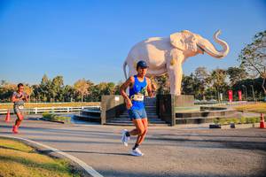 BIB: 
                            <button type="button" onclick="openModal(26186411)" class="btn btn-primary btn-sm float-right btn-popup" data-toggle="modal" data-target=".modal-high-quality">
                        <i class="fas fa-shopping-cart"></i> Add to Cart
                    </button>
                                            <button type="button" onclick="isThisMe(26186411, true)" class="btn btn-success btn-sm float-right btn-popup btn-isme hidden" data-toggle="tooltip" data-placement="bottom" title="นี่คือรูปของคุณใช่ไหม คลิกที่นี่เพื่อเอาเข้าอัลบั้ม">
                        <i class="fas fa-plus"></i> Add to album
                    </button>
                    <button type="button" onclick="isThisMe(26186411, false)" class="btn btn-warning btn-sm float-right btn-popup btn-isnotme hidden">
                        <i class="fas fa-ban"></i> Remove from album
                    </button>