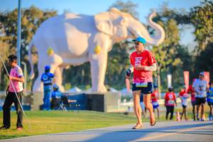 BIB: 
                            <button type="button" onclick="openModal(26183678)" class="btn btn-primary btn-sm float-right btn-popup" data-toggle="modal" data-target=".modal-high-quality">
                        <i class="fas fa-shopping-cart"></i> Add to Cart
                    </button>
                                            <button type="button" onclick="isThisMe(26183678, true)" class="btn btn-success btn-sm float-right btn-popup btn-isme hidden" data-toggle="tooltip" data-placement="bottom" title="นี่คือรูปของคุณใช่ไหม คลิกที่นี่เพื่อเอาเข้าอัลบั้ม">
                        <i class="fas fa-plus"></i> Add to album
                    </button>
                    <button type="button" onclick="isThisMe(26183678, false)" class="btn btn-warning btn-sm float-right btn-popup btn-isnotme hidden">
                        <i class="fas fa-ban"></i> Remove from album
                    </button>