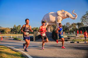 BIB: 
                            <button type="button" onclick="openModal(26186372)" class="btn btn-primary btn-sm float-right btn-popup" data-toggle="modal" data-target=".modal-high-quality">
                        <i class="fas fa-shopping-cart"></i> Add to Cart
                    </button>
                                            <button type="button" onclick="isThisMe(26186372, true)" class="btn btn-success btn-sm float-right btn-popup btn-isme hidden" data-toggle="tooltip" data-placement="bottom" title="นี่คือรูปของคุณใช่ไหม คลิกที่นี่เพื่อเอาเข้าอัลบั้ม">
                        <i class="fas fa-plus"></i> Add to album
                    </button>
                    <button type="button" onclick="isThisMe(26186372, false)" class="btn btn-warning btn-sm float-right btn-popup btn-isnotme hidden">
                        <i class="fas fa-ban"></i> Remove from album
                    </button>