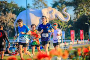 BIB: 
                            <button type="button" onclick="openModal(26183981)" class="btn btn-primary btn-sm float-right btn-popup" data-toggle="modal" data-target=".modal-high-quality">
                        <i class="fas fa-shopping-cart"></i> Add to Cart
                    </button>
                                            <button type="button" onclick="isThisMe(26183981, true)" class="btn btn-success btn-sm float-right btn-popup btn-isme hidden" data-toggle="tooltip" data-placement="bottom" title="นี่คือรูปของคุณใช่ไหม คลิกที่นี่เพื่อเอาเข้าอัลบั้ม">
                        <i class="fas fa-plus"></i> Add to album
                    </button>
                    <button type="button" onclick="isThisMe(26183981, false)" class="btn btn-warning btn-sm float-right btn-popup btn-isnotme hidden">
                        <i class="fas fa-ban"></i> Remove from album
                    </button>